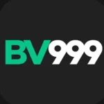 bv999-game