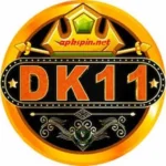dk11-game