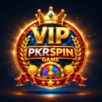 pkrspin-game